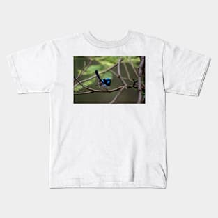 Superb Fairy Wren Kids T-Shirt